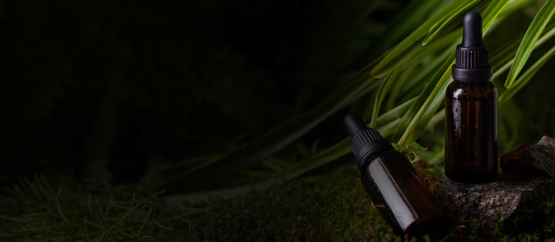 Коллекция ароматов QazaqAroma